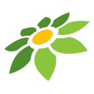 LINK PAPI55